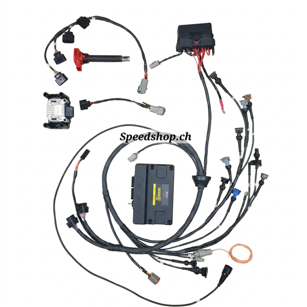 Haltech Kabelstrang Wiring Loom Delta HF