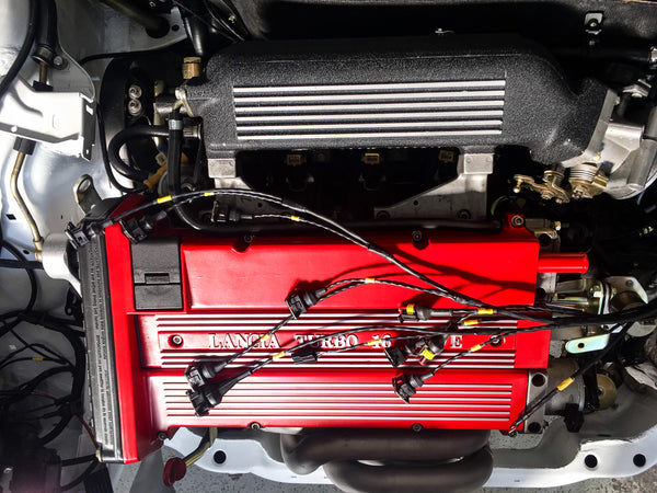 Lancia Delta HF Integrale ECU wiring loom for ignition inejection with high quality genuine AMP and Deutsch connectors for all customers who wants to upgrade the detoriated OEM wiring loom with a Motorsport style loom.